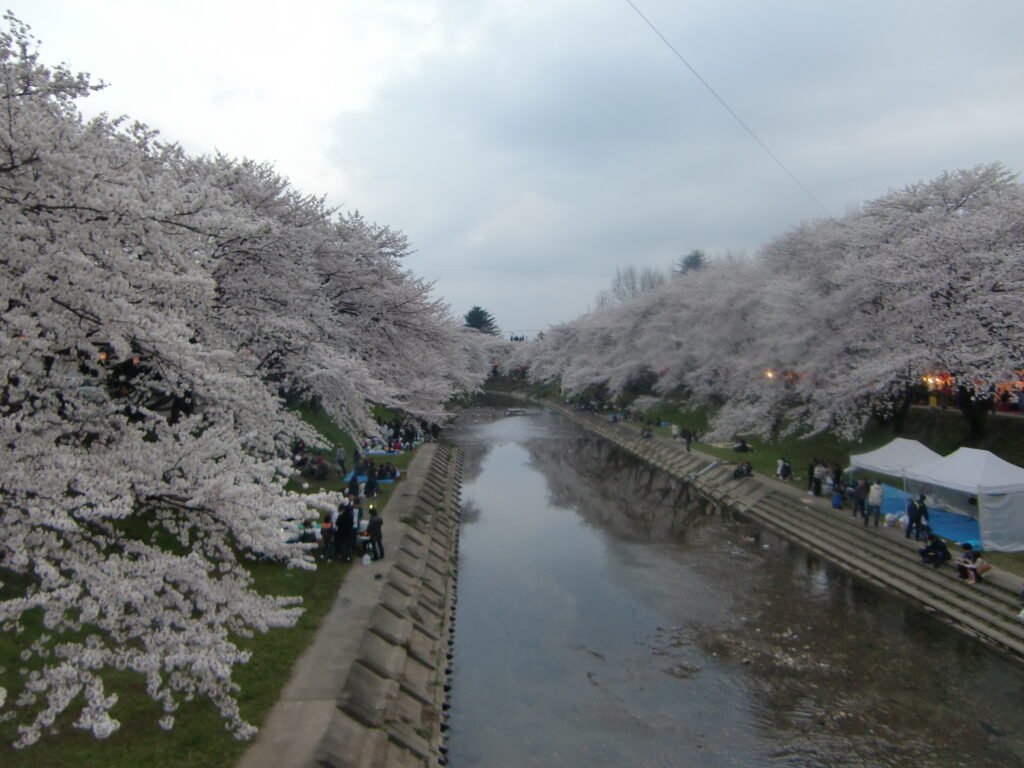 Relegationistan: Speed Kills